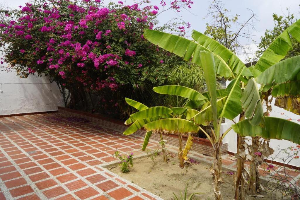 Hotel Mar Di Plata バランキージャ エクステリア 写真